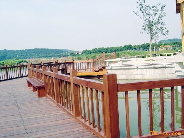 ����ľ�ӱ߻���