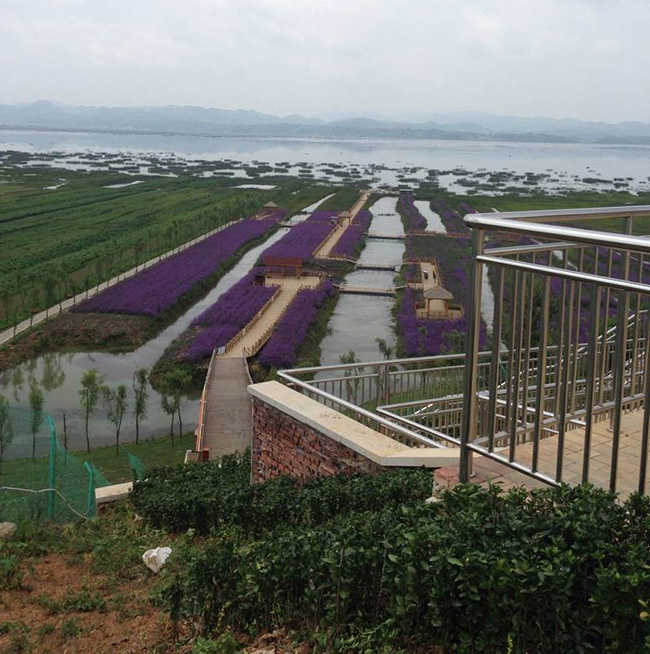 ľ�Ƴ���-��������ľ